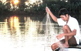 Sau lũ, tính chuyện giữ nước cho ĐBSCL